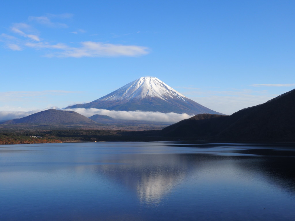 11/22 �t���x�m���ǂ�