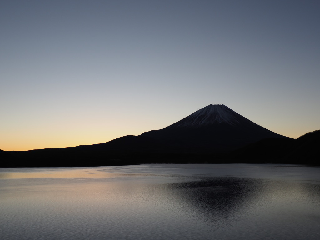 11/23 �t���x�m