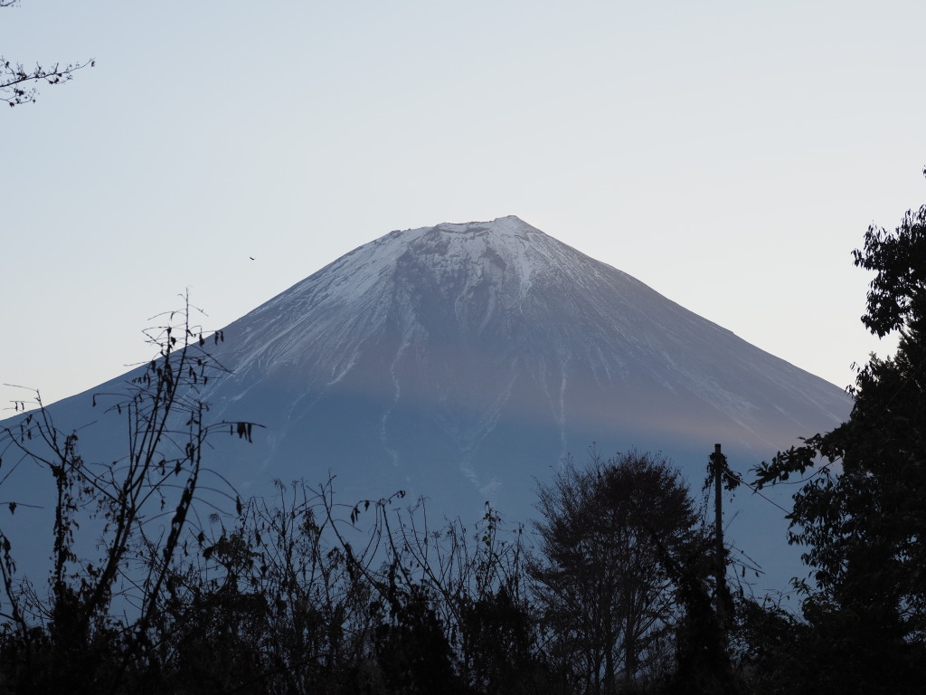 11/24 ������������̕x�m�R