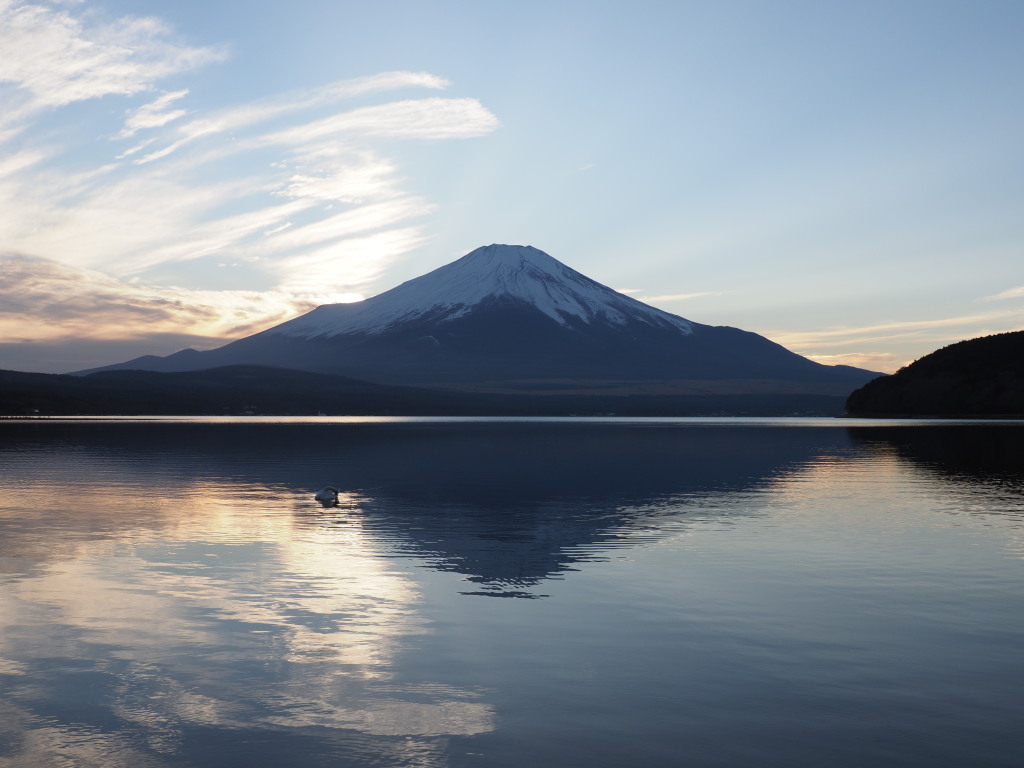 1/11 �[�Ă��̕x�m�R