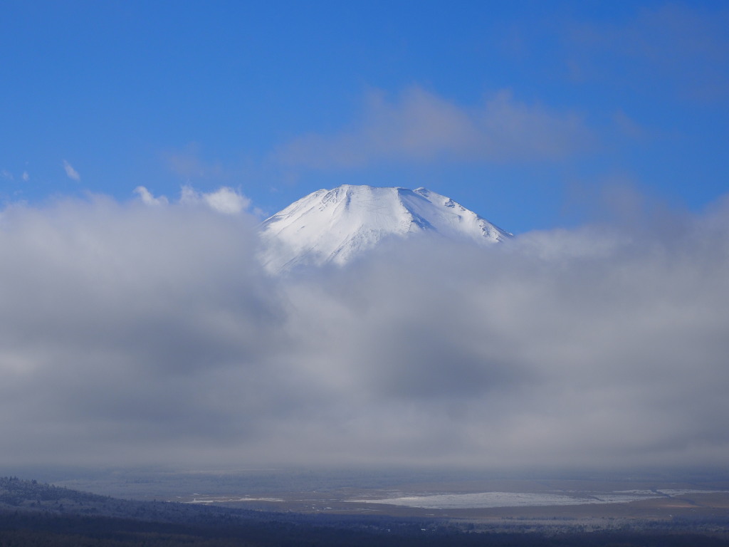 1/13 ��u�̕x�m�R