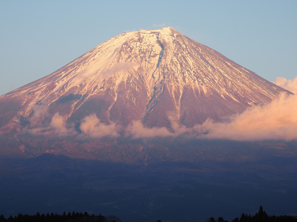 1/14 �[�Ă��̃A�b�v