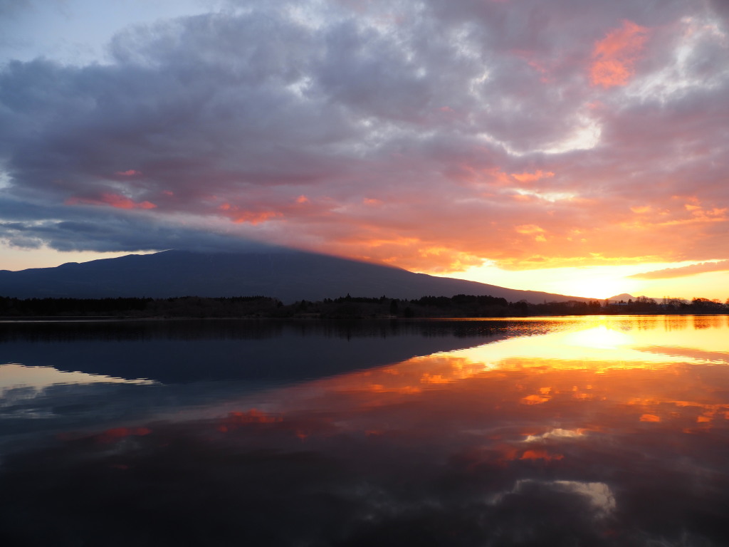 1/15 �c�ь΂���̒��Ă�