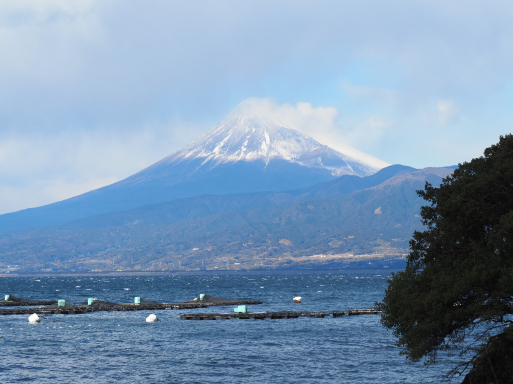 1/26 ����r�[�`����