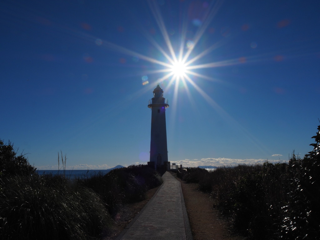 1/27 �ܖ؍蓔��