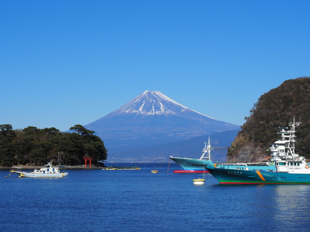 1/27 ��l���`�̕x�m�R