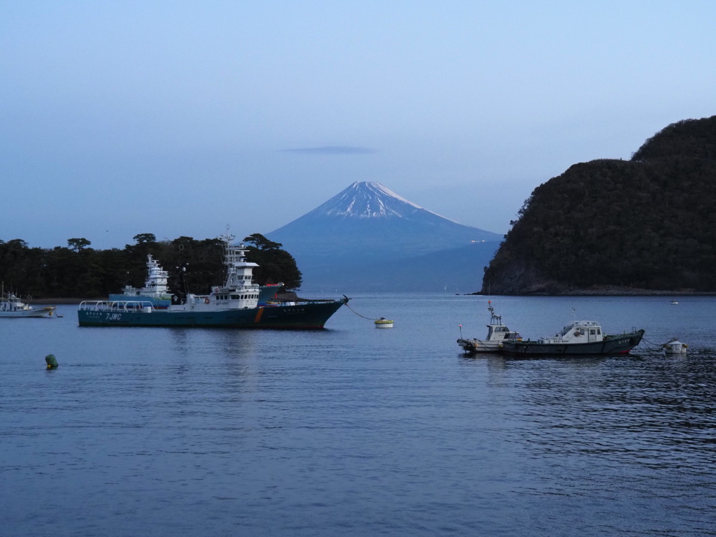 1/28 ��l���`�̕x�m�R