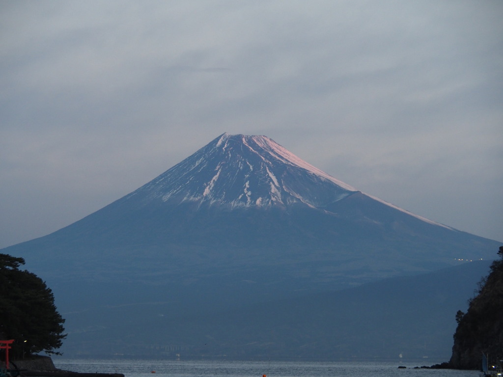 1/28 ���Ă��̕x�m�R