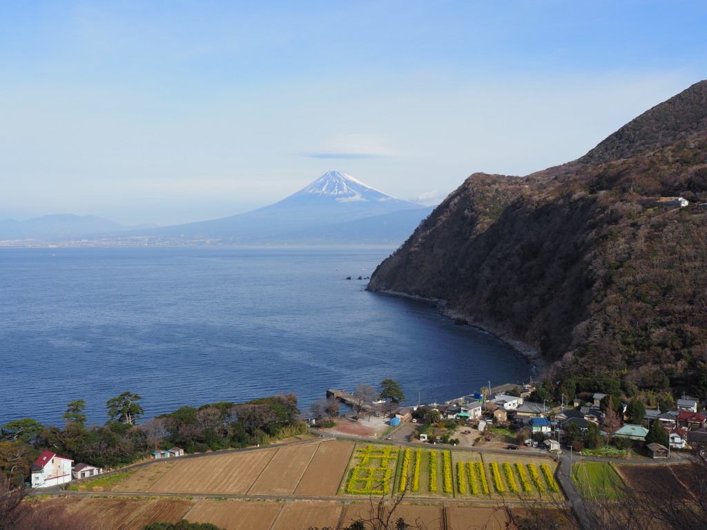 1/28 ��c�̕x�m�R