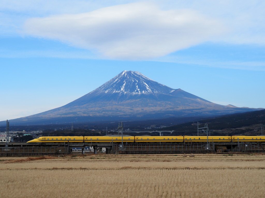 1/28 �h�N�^�[�C�G���[�ƕx�m�R