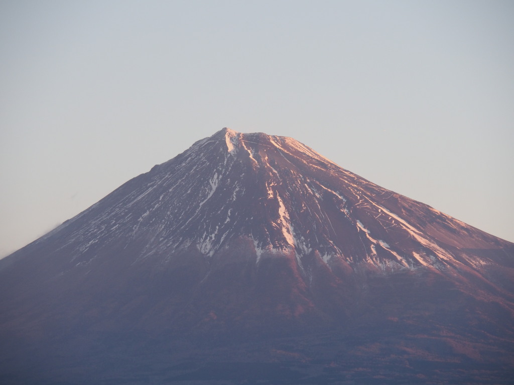 1/29 �x�m�삩��̕x�m�R