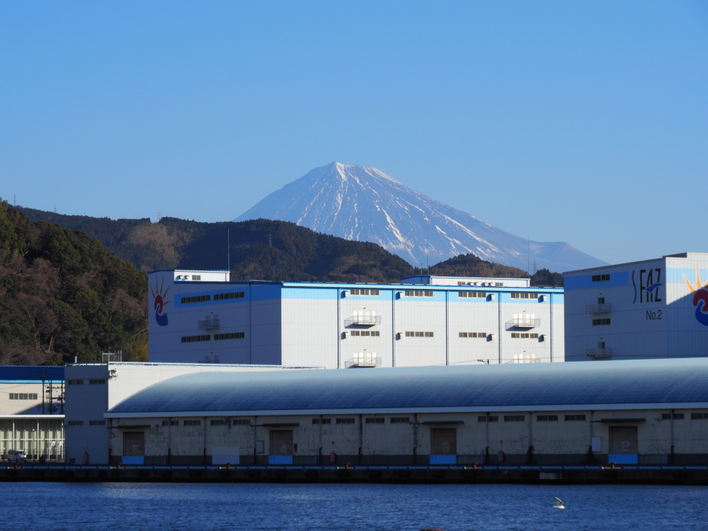 1/29 �����`����̕x�m�R