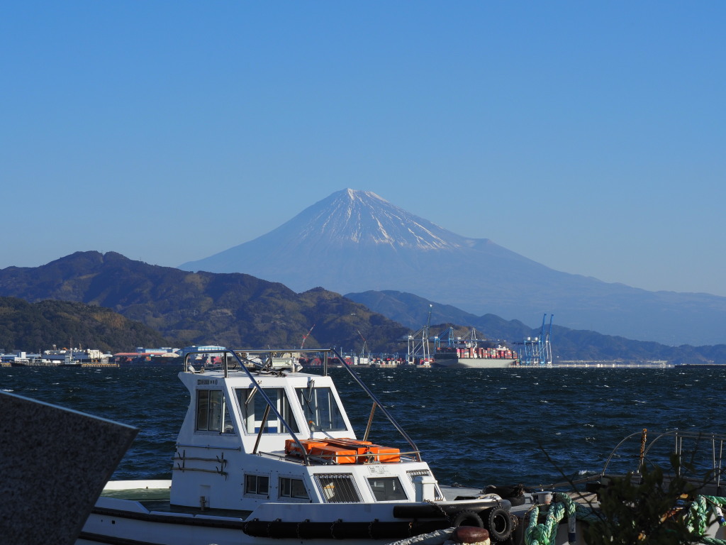 1/29 �t�F���[��ꂩ��̕x�m�R