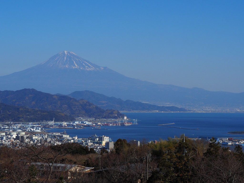 1/29 ���{������̕x�m�R(2)