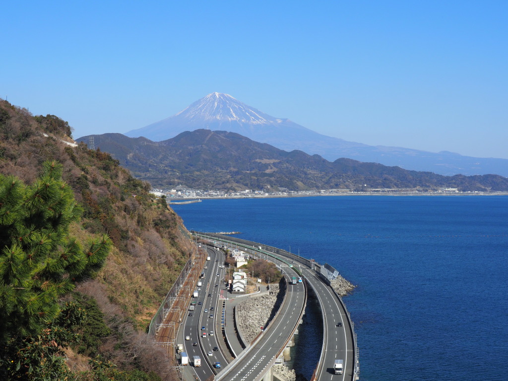 1/29 ������������̕x�m�R