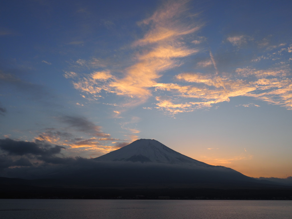 2/5 �[�Ă��̕x�m�R