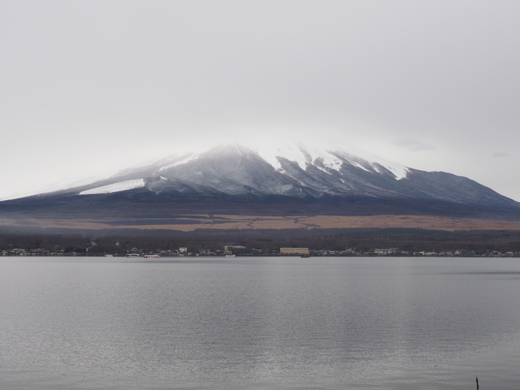 2/6 �J������