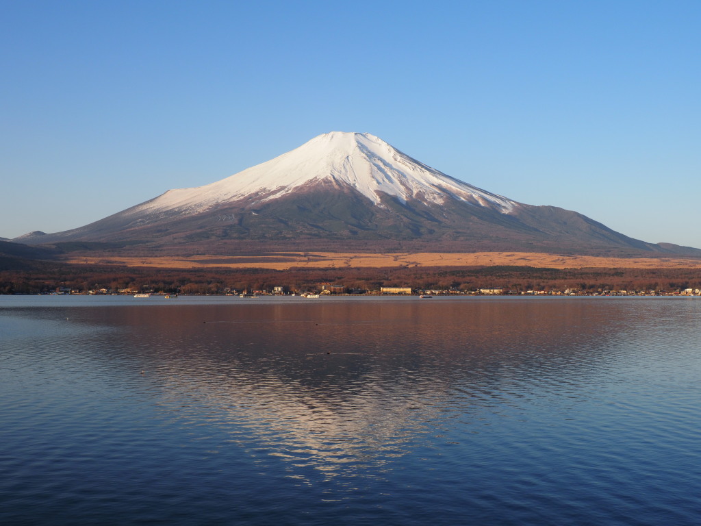 2/8 �Y��ȕx�m�R