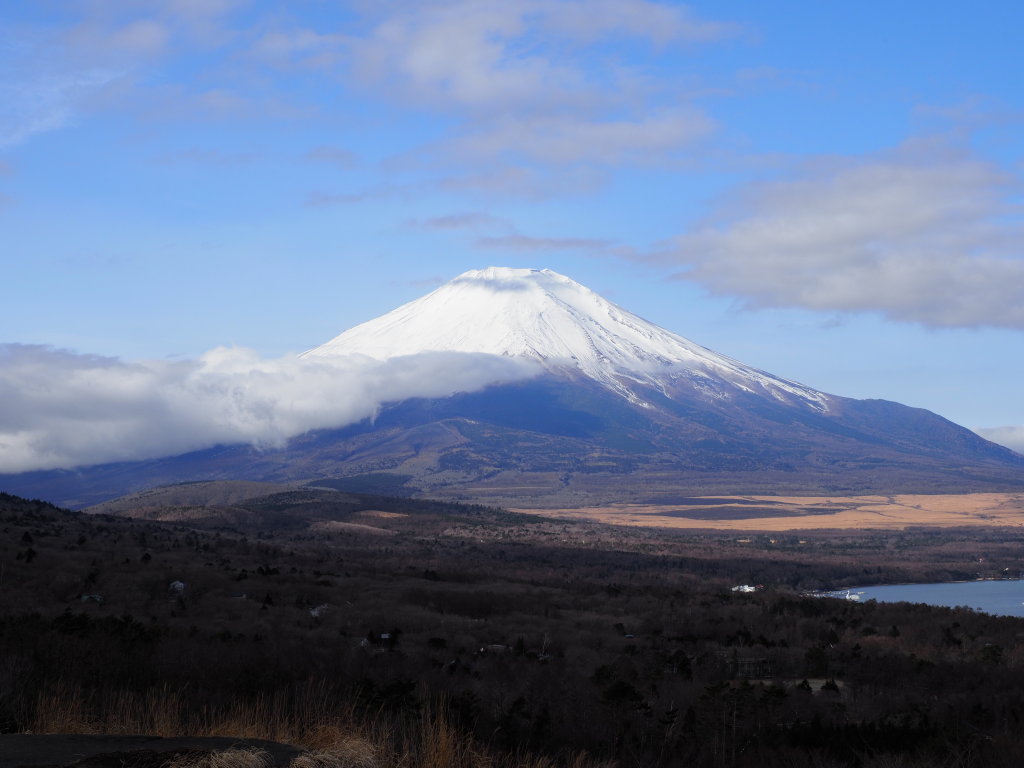 2/21 �_�؂�n�߂�