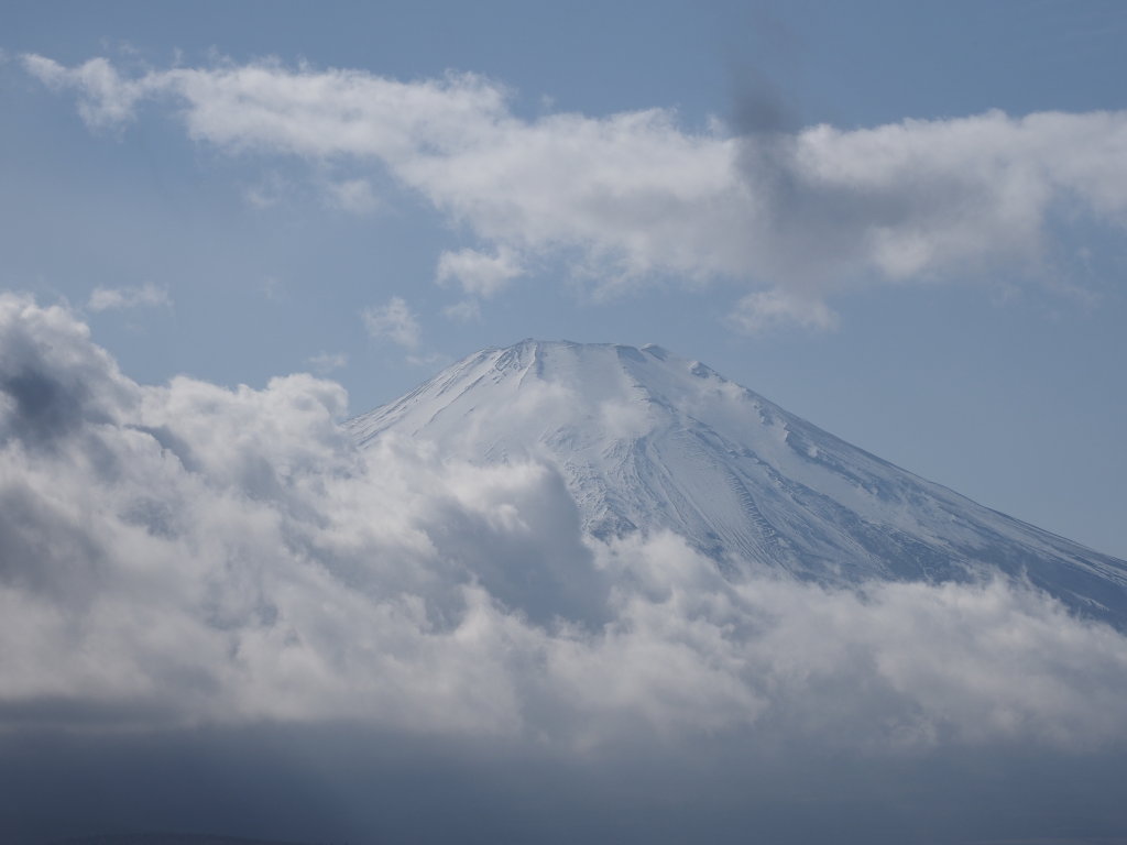 2/21 �_�L����