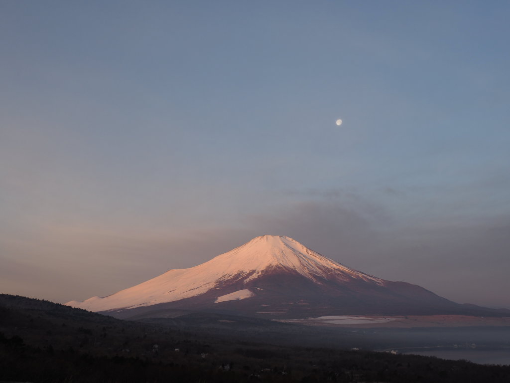 2/22 ���ƍg�x�m