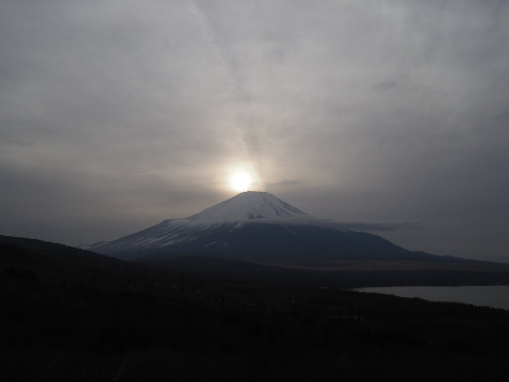 2/22 ���ڂ�_�C�������h�x�m