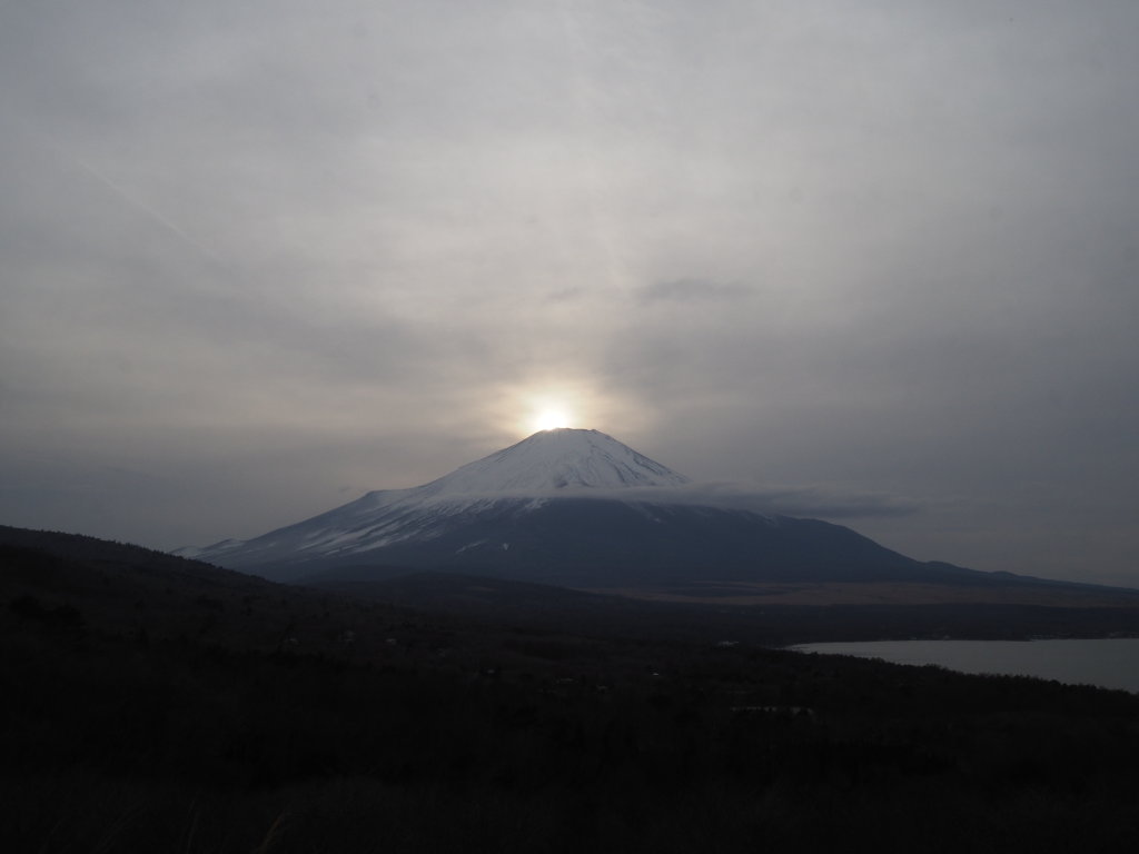 2/22 ���ڂ�_�C�������h�x�m(2)