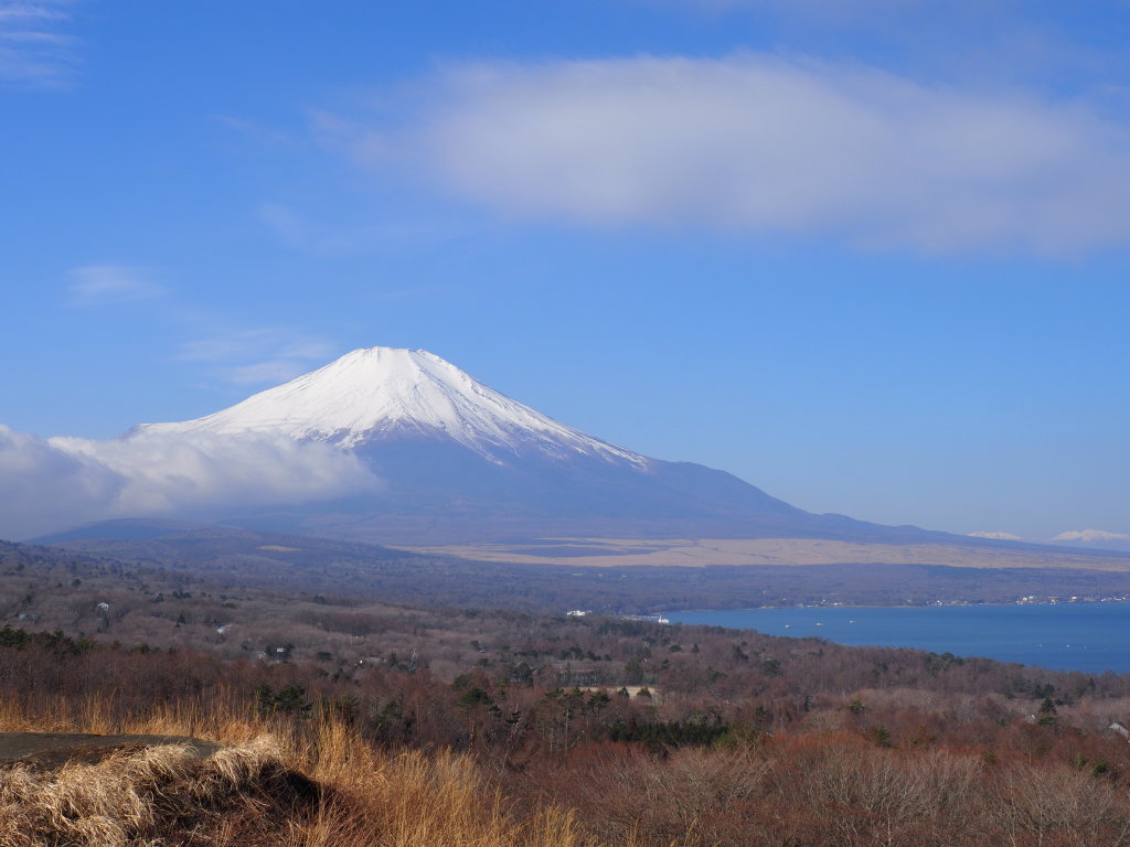 2/23 �����n�߂��x�m�R