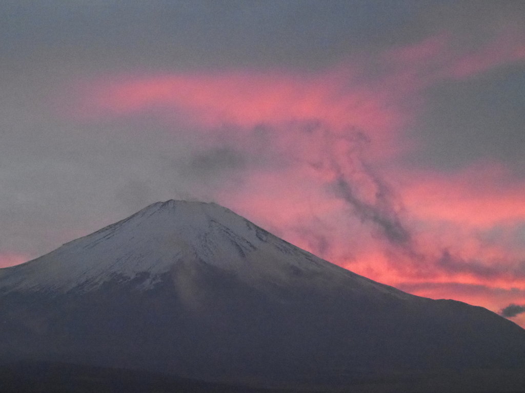 2/24 �[�Ă��̕x�m�R