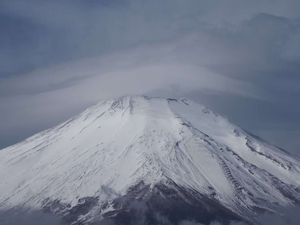 2/25 �����n�߂��x�m�R