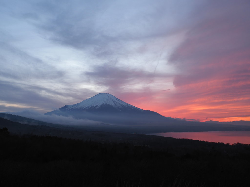 2/25 �[�Ă��̕x�m�R