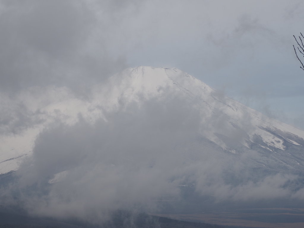 3/6 �����n�߂��x�m�R