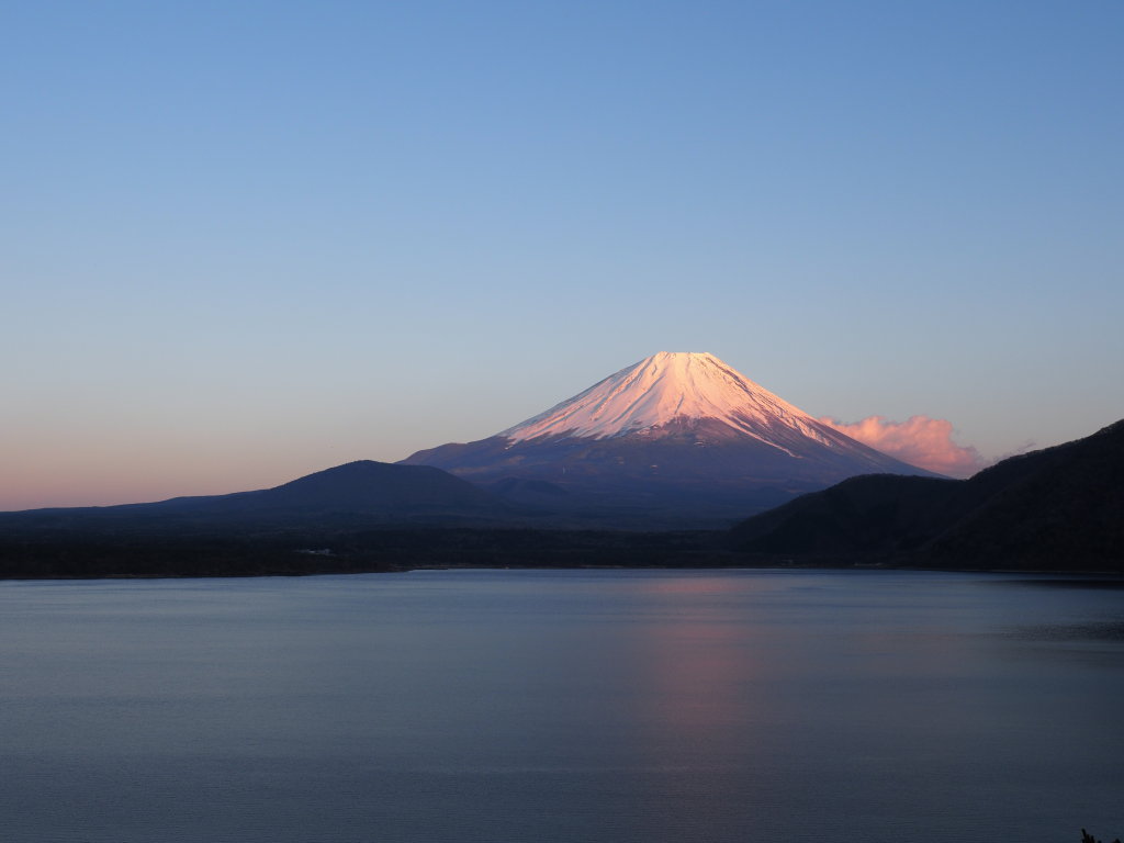 3/8 �[�Ă��̕x�m�R