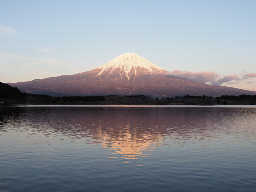 3/9 �[�Ă��̕x�m�R