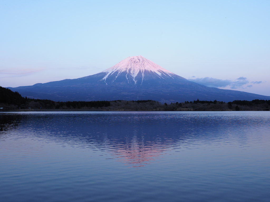 3/9 �ق�̂��x�Ă�