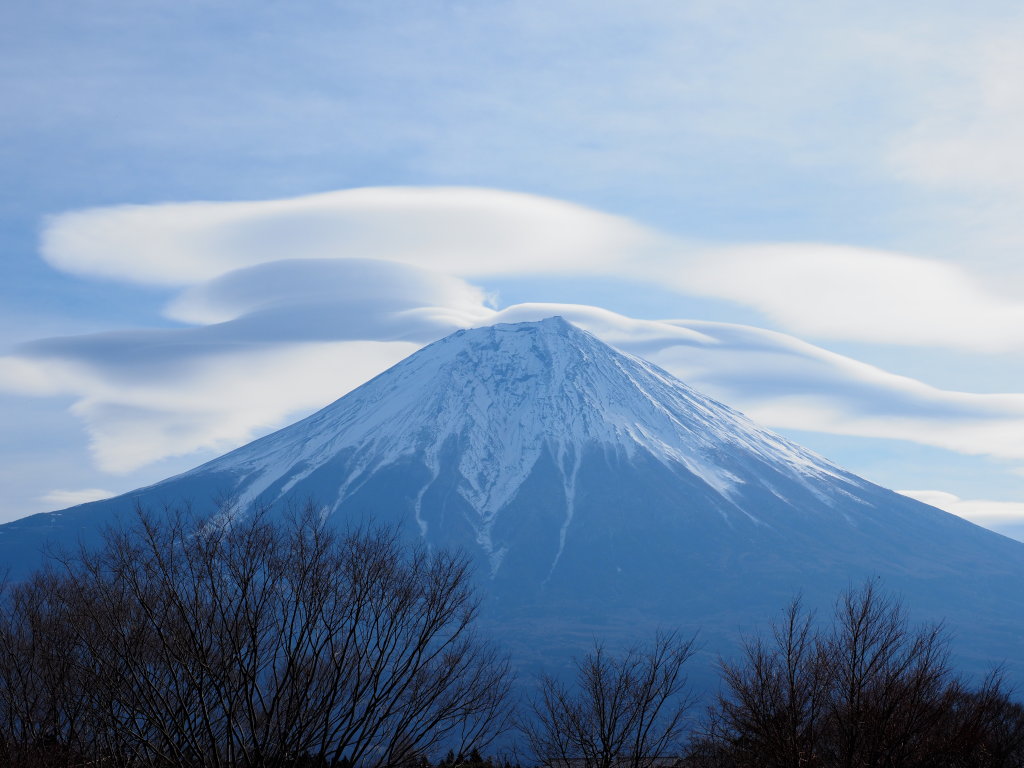 3/10 �_�ƕx�m�R