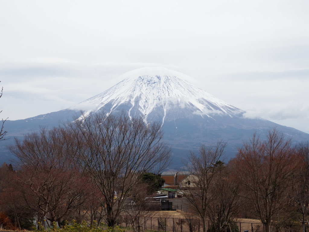 3/10 �P�_�ƕx�m�R