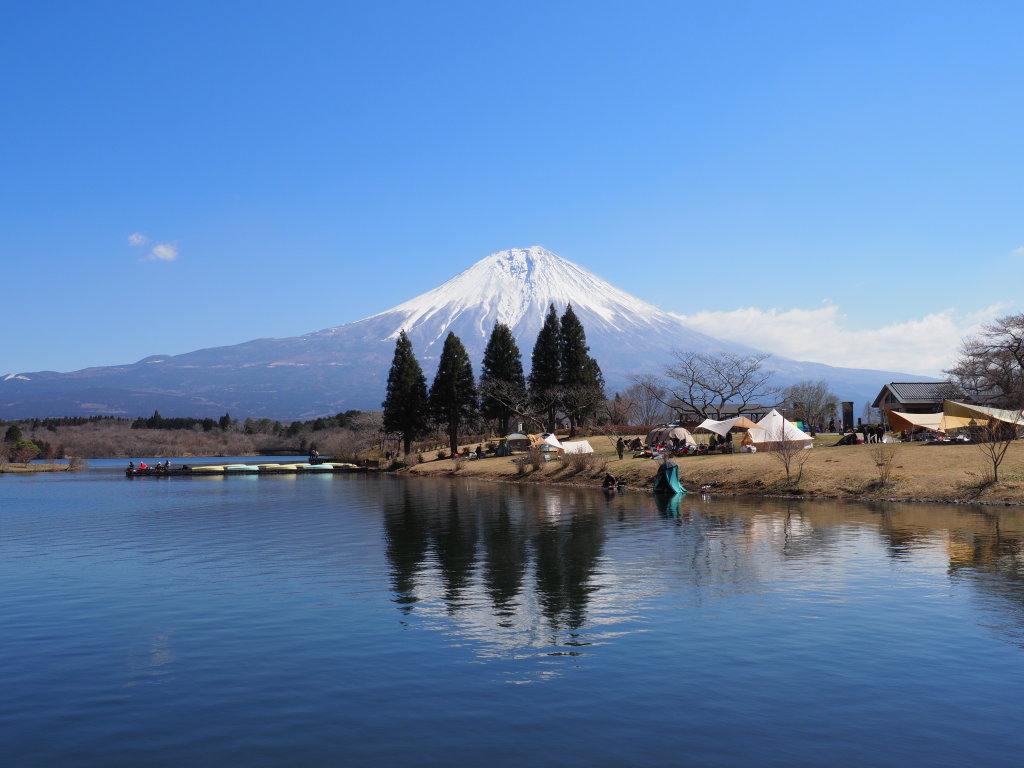 3/24 �c�ь΂���̕x�m�R