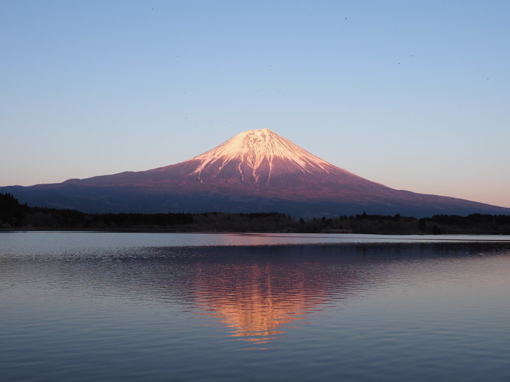 3/24 �[�Ă��̋t���x�m