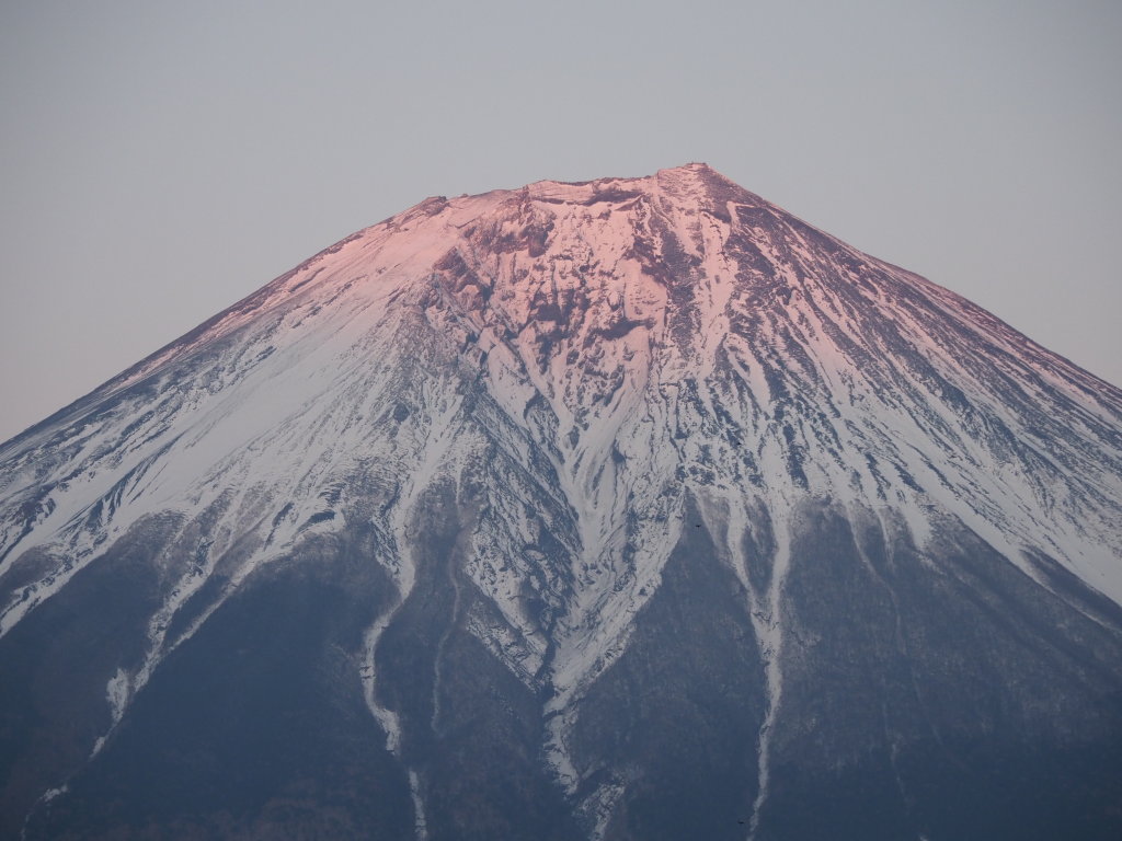 3/24 �[�Ă��̕x�m�R