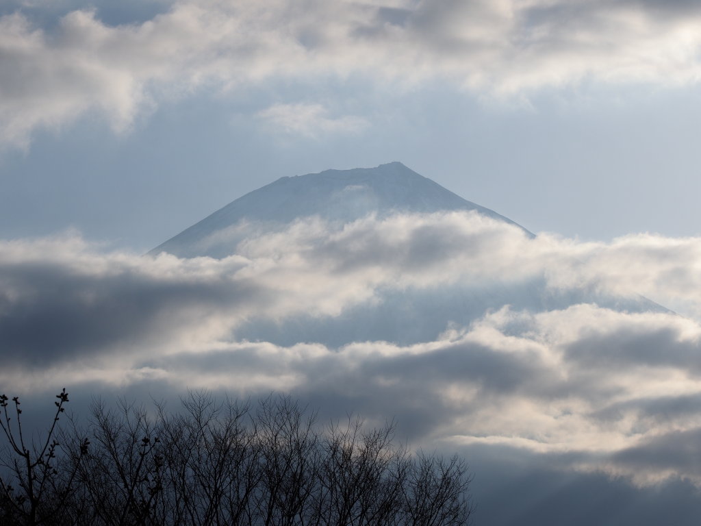 3/25 �����n�߂��x�m�R