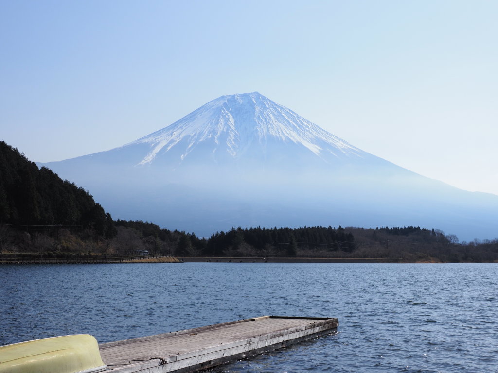 3/25 �U���̓r��