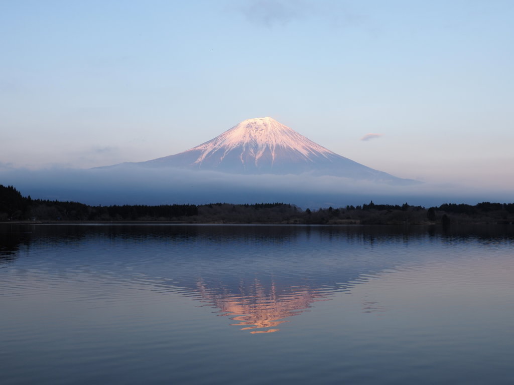 3/26 �t���x�m