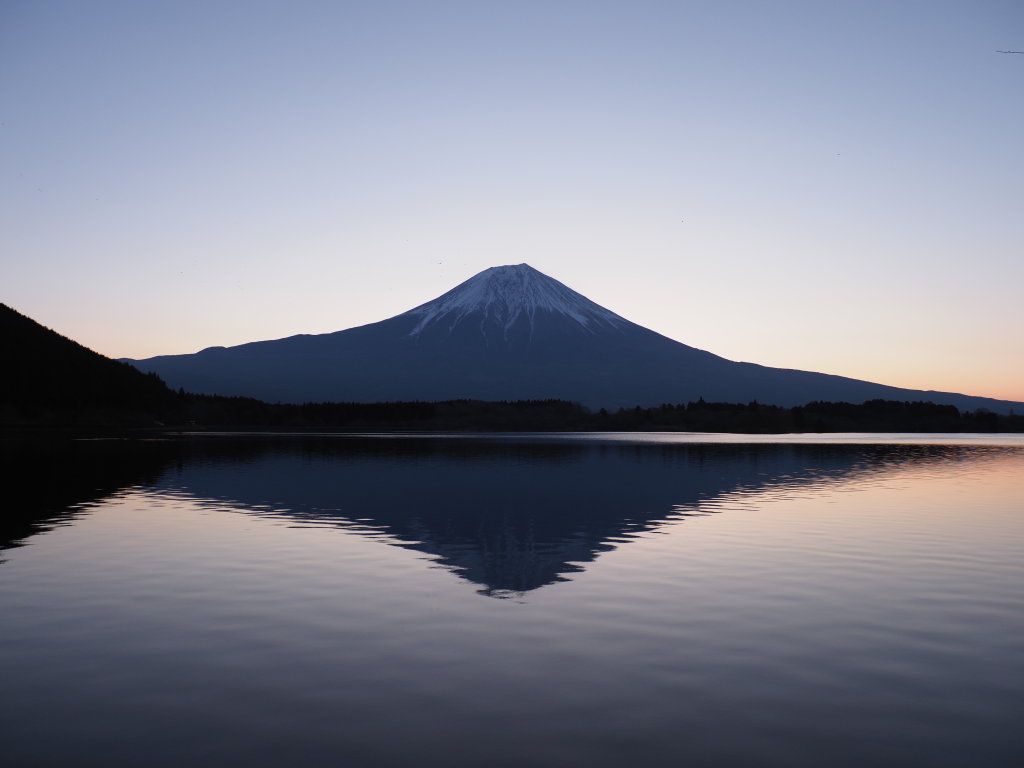 3/27 �t���x�m