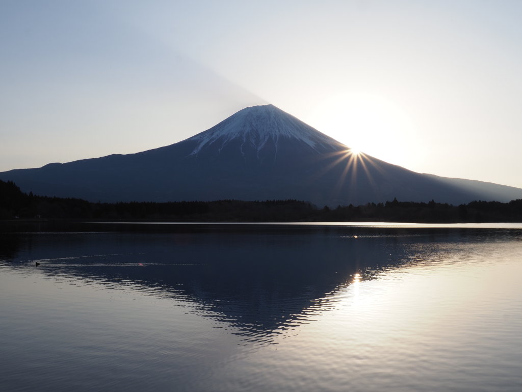 3/27 ���̏o�̕x�m�R