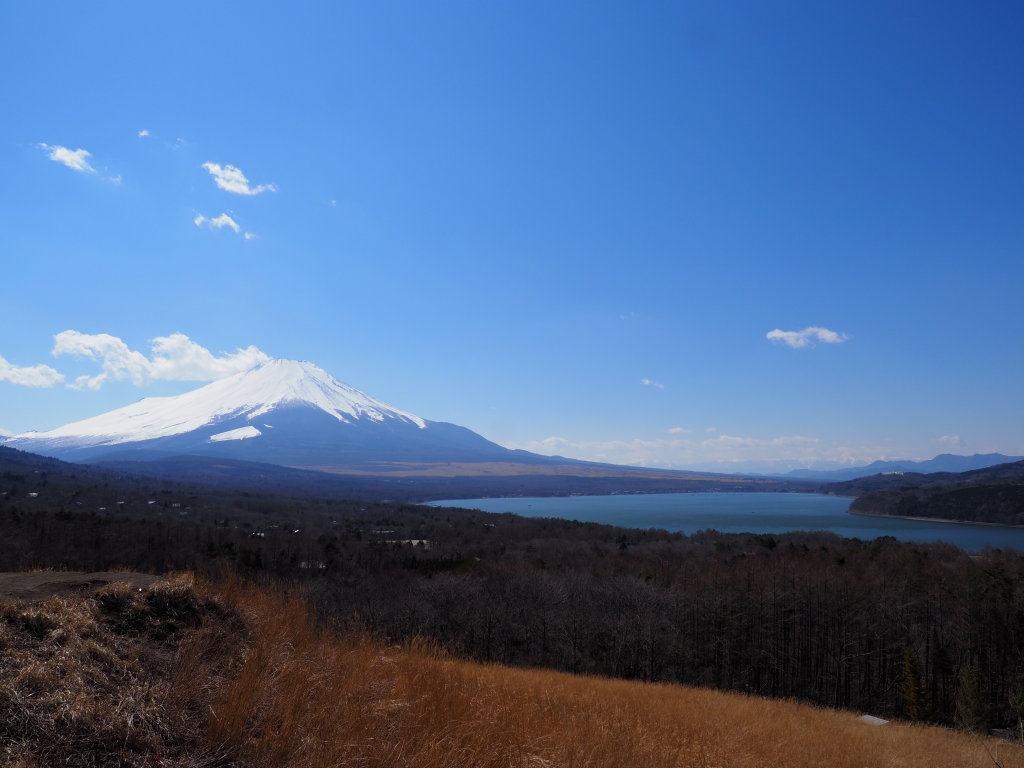 4/3 �v���Ԃ�̃p�m���}��