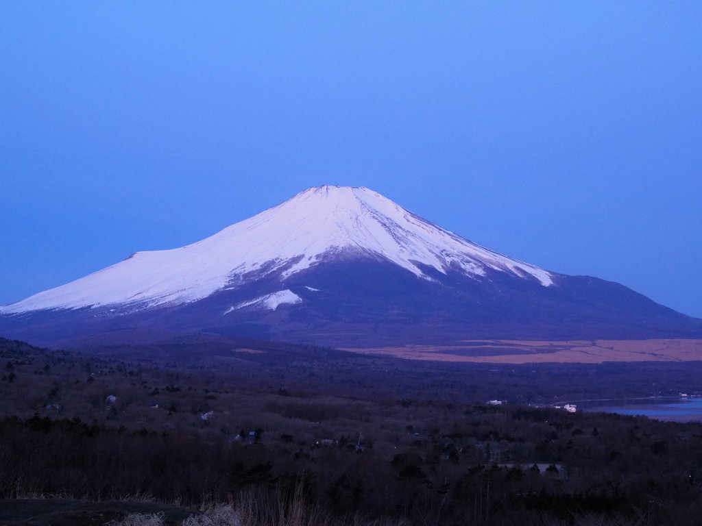 4/5 ���Ă��̕x�m�R