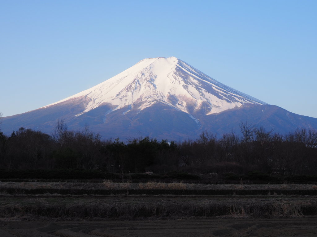 4/6 ���̕x�m�R