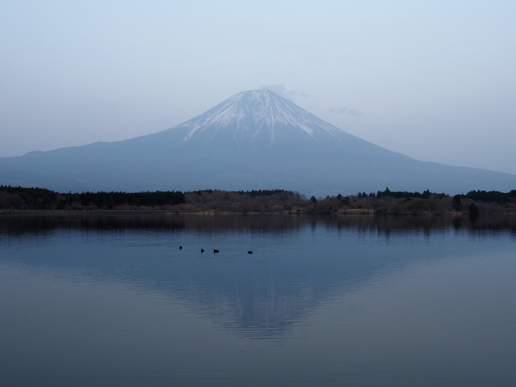 4/7 �����񂾗[�Ă�