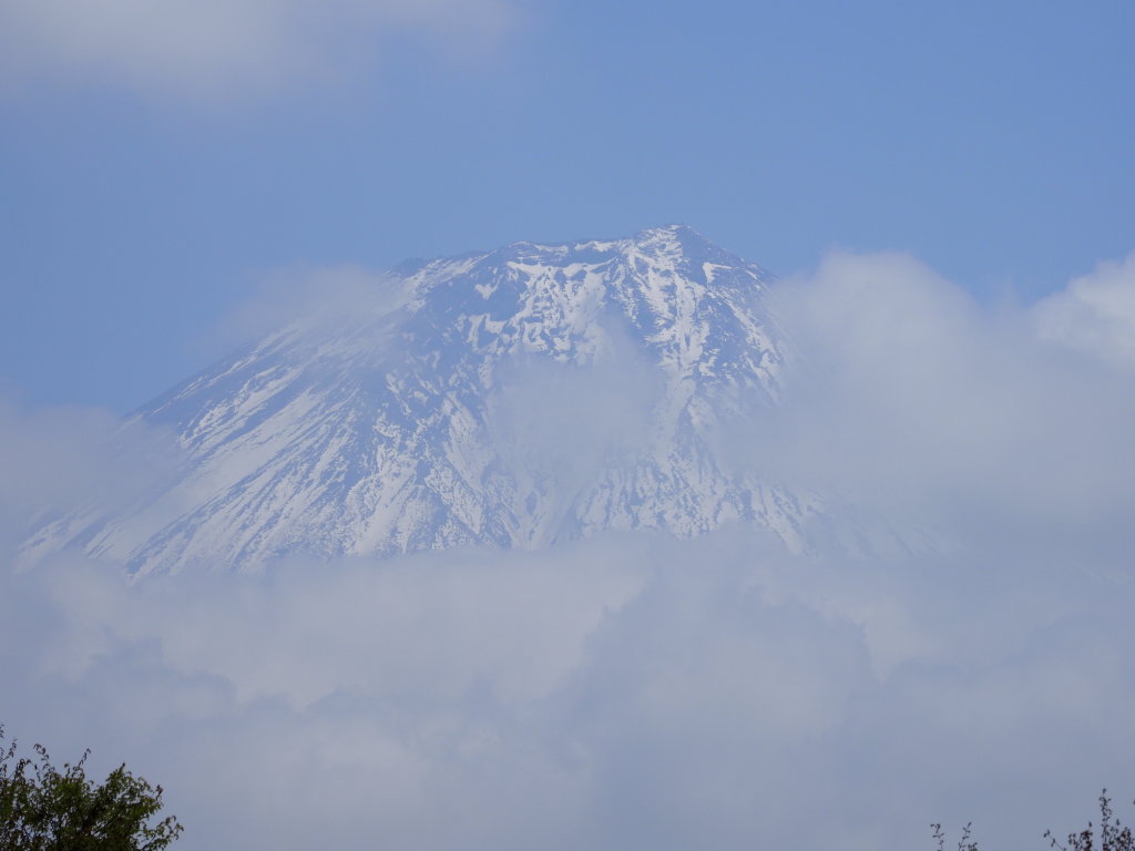 4/20 �_�؂��